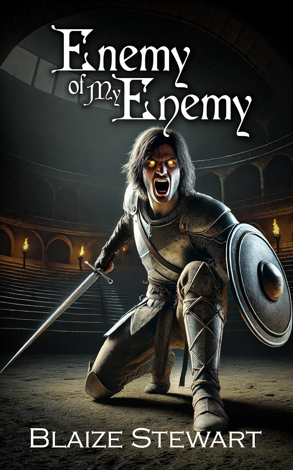 Enemy of My Enemy (The Paladin Chronicles Book 2) cover